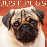 Title: Just Pugs 2024 12