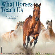 Title: What Horses Teach Us 2024 12