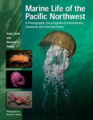 Title: Marine Life of the Pacific Northwest: A Photographic Encyclopedia of Invertebrates, Seaweeds and Selected Fishes, Author: Andy Lamb