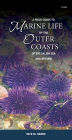 A Field Guide to Marine Life of the Outer Coasts of the Salish Sea and Beyond