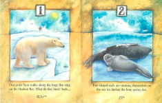 Alternative view 2 of My Arctic 1,2,3
