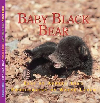 The Adventures of Baby Bear