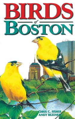 Birds of Boston