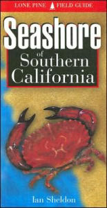 Title: Seashore of Southern California, Author: Ian Sheldon