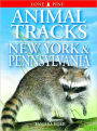 Animal Tracks of New York and Pennsylvania