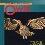 Owls