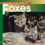 Foxes