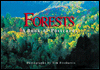 Forests: A Book Of Postcards