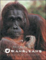 Orangutans: Wizards of the Rain Forest