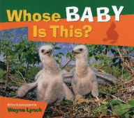 Title: Whose Baby Is This?, Author: Wayne Lynch