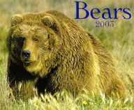 Bears 2003