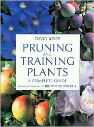 Pruning and Training Plants: A Complete Guide