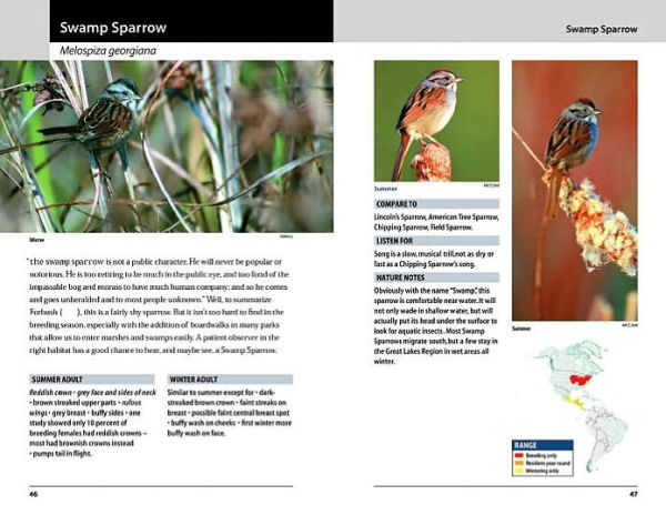 Sparrows and Finches of the Great Lakes Region and Eastern North America