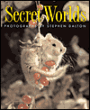 Secret Worlds