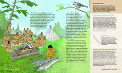Alternative view 5 of Amo's Sapotawan