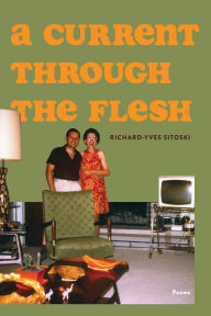 Title: A Current Through the Flesh, Author: Richard-Yves Sitoski