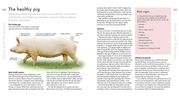 Choosing and Keeping Pigs