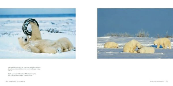 The World of the Polar Bear