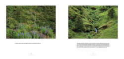 Alternative view 26 of Iceland: Born of Lava Chiseled By Ice