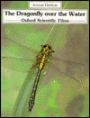 The Dragonfly over the Water
