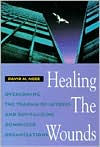 Healing Wounds Organizations P / Edition 1