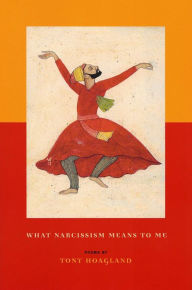 Title: What Narcissism Means to Me, Author: Tony Hoagland