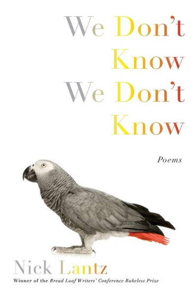 We Don't Know We Don't Know: Poems