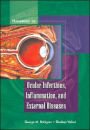 Handbook Of Ocular Infections, Inflammation And External Diseases / Edition 1
