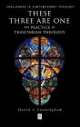 These Three are One: The Practice of Trinitarian Theology