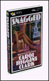 Snagged (Regan Reilly Series #2)