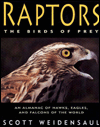 Raptors: The Birds of Prey