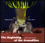 The Beginning of the Armadillos