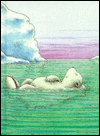 Little Polar Bear Journal