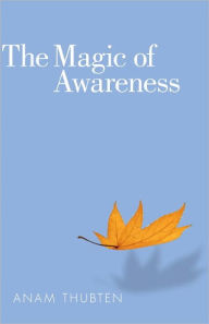 Title: The Magic of Awareness, Author: Anam Thubten