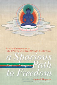 Title: A Spacious Path to Freedom: Practical Instructions on the Union of Mahamudra and Atiyoga, Author: Karma Chagme