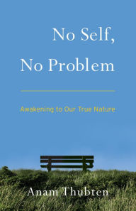 Title: No Self, No Problem: Awakening to Our True Nature, Author: Anam Thubten