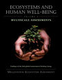 Ecosystems and Human Well-being: Multiscale Assessments: Findings of the Sub-global Assessments Working Group