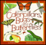 Caterpillars, Bugs and Butterflies