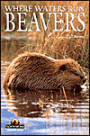 Beavers: Where Waters Run