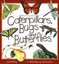 Title: Caterpillars, Bugs and Butterflies, Author: Mel Boring