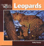 Leopards (Our Wild World Series)