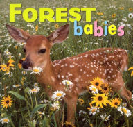 Title: Forest Babies, Author: Kristen McCurry