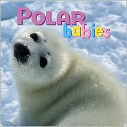 Title: Polar Babies, Author: Kristen McCurry