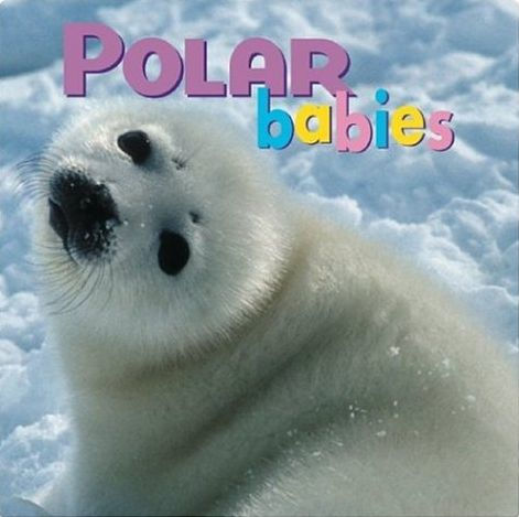 Polar Babies