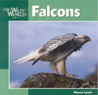 Title: Falcons, Author: Wayne Lynch