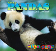 Giant Pandas