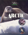 The Arctic
