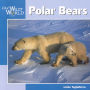 Polar Bears