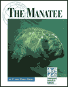 The Manatee