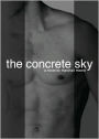 Concrete Sky